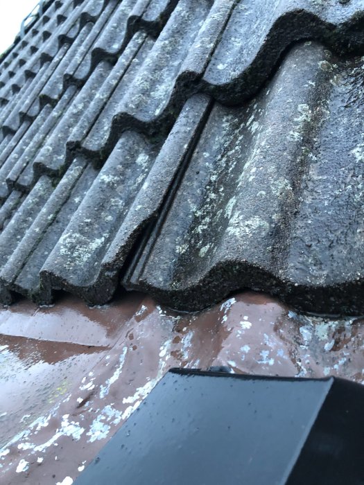 Närbild av betongtakpannor i olika vinklar med synligt mosstäcke och plåtarbete.