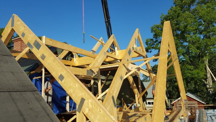 Trästomme för ett hus med flera takstolar redan på plats, och en kran med lyftstropp i bakgrunden.