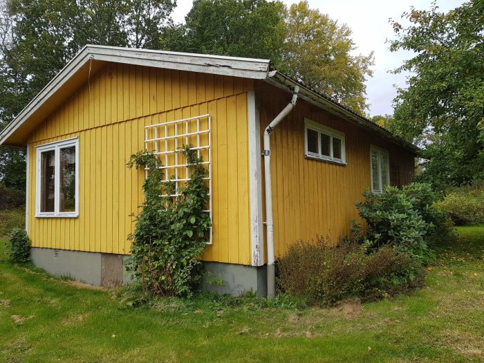 Gult enplanshus från 1976 omgivet av grönska före renovering.