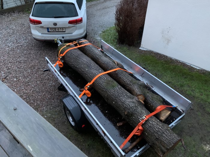 Trailer lastad med timmerstockar säkrade med orange spännband, parkerad bakom en bil.