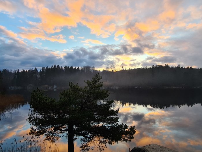 Dramatisk himmel med orange moln reflekterade i en lugn sjö vid solnedgång, omgiven av skog.