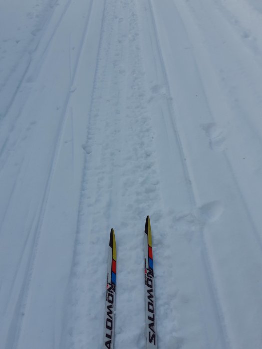 Längdskidor på nydragen skidspår i snön, vilket signalerar vinterns ankomst.