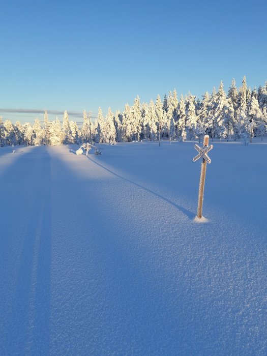 Vinterskog täckt av snö med solbelysta träd och ett snöklätt orienteringsmärke i förgrunden.