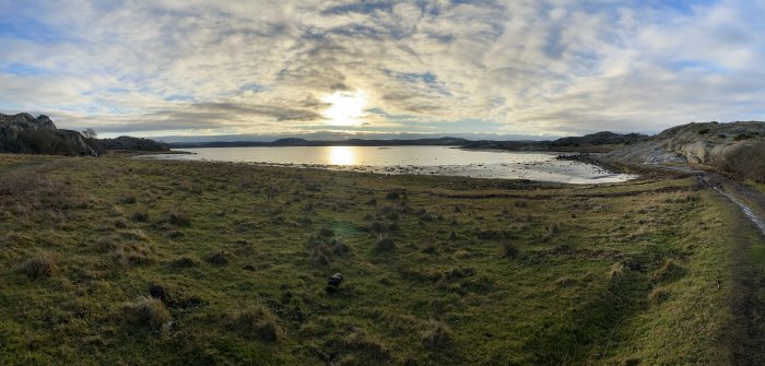 Panoramavy över vackert kustlandskap med gräs, klippor och hav under solnedgången.