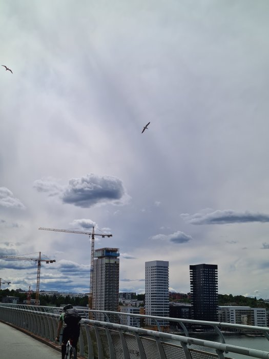 Utsikt från Årstabron med skyskrapor, kranar och cyklist, molnig himmel och flygande fågel.