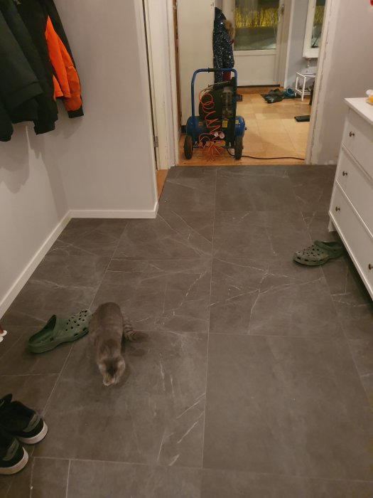 Nyinstallerade mörkgrå klinkergolv i en hall med en katt som ligger på golvet, skor utspridda och en luftkompressor i bakgrunden.