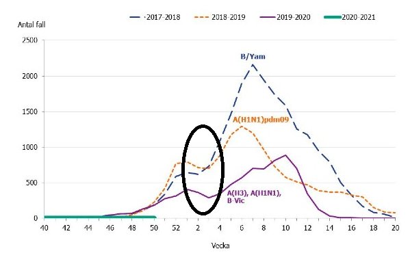 Kurvdiagram med antal influensafall över olika säsonger, markerat område visar trolig pandemifas.