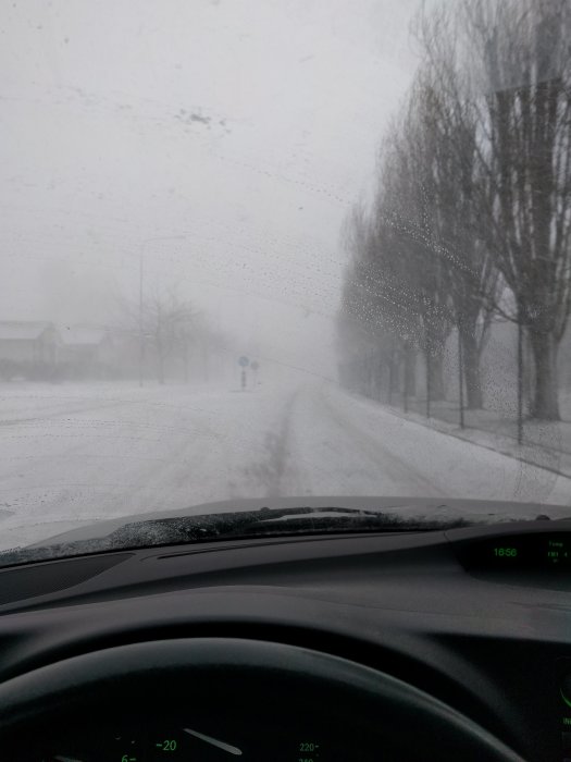 Vy genom en bilruta som visar en snöig väg flankerad av träd och dålig sikt på grund av snöfall.