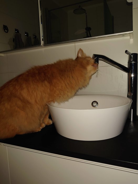 En äldre orange katt dricker vatten från en öppen kran över ett runt handfat.