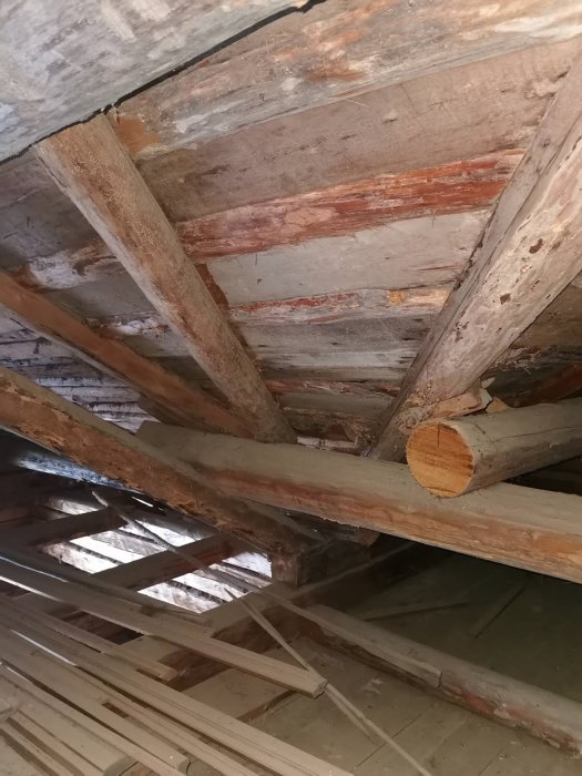 Inre takstruktur i timmerhus med synliga grova träbjälkar och spikade brädor.