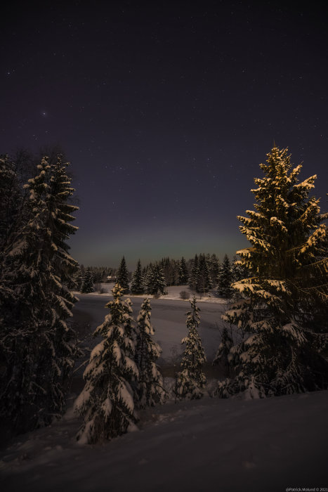 Vinterlandskap vid natt med snöklädda träd under en stjärnhimmel med svagt norrsken.