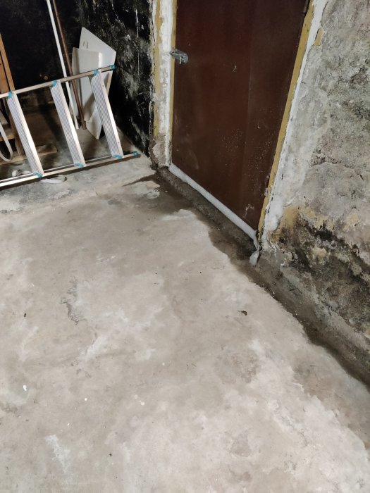 Fuktig källartröskel med vatteninträngning nära en brun gammal dörr och skadade väggar.