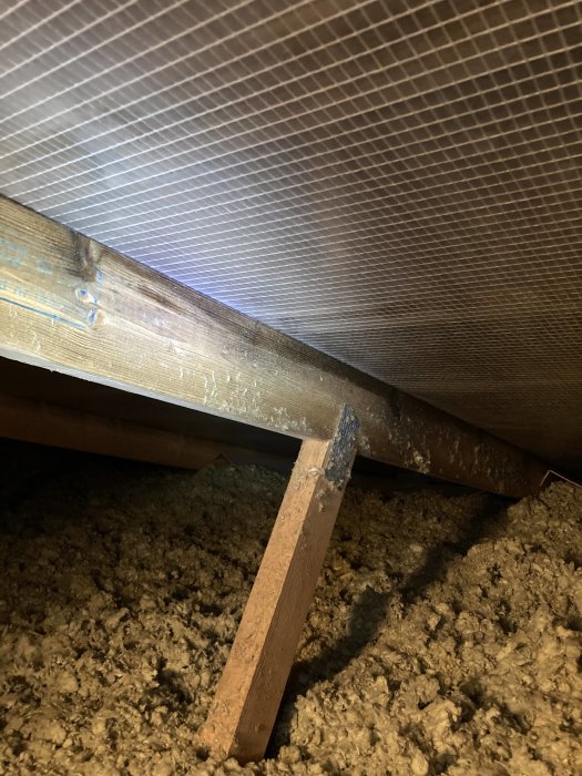 Vind med fuktskador på ovandelen av takstolar under armerad plastfilm, utan synliga hål eller skador på duken.