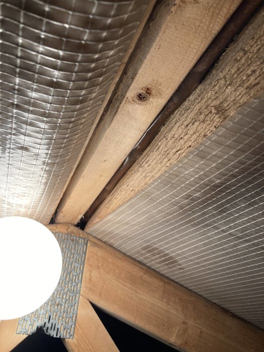 Insidan av ett tak med träbjälkar och torr plastfolie, belyst med lampa för fuktinspektion.