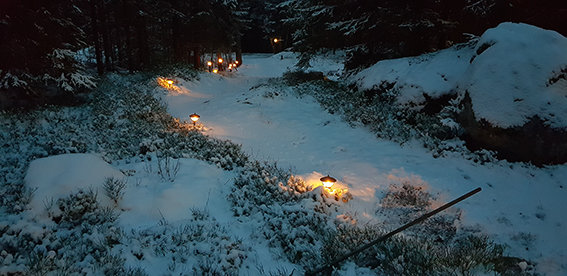 Snöig trädgård med halogenlampor längs en stig som lyser upp i skymningen.