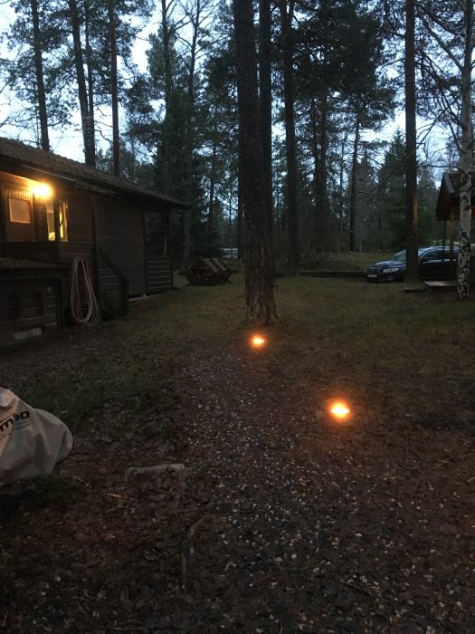 Stig med markbelysning leder till en bastustuga i skymningen med träd runtomkring.