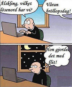 Seriebild där en person sitter vid datorn och frågar om lösenord, som är deras bröllopsdag.