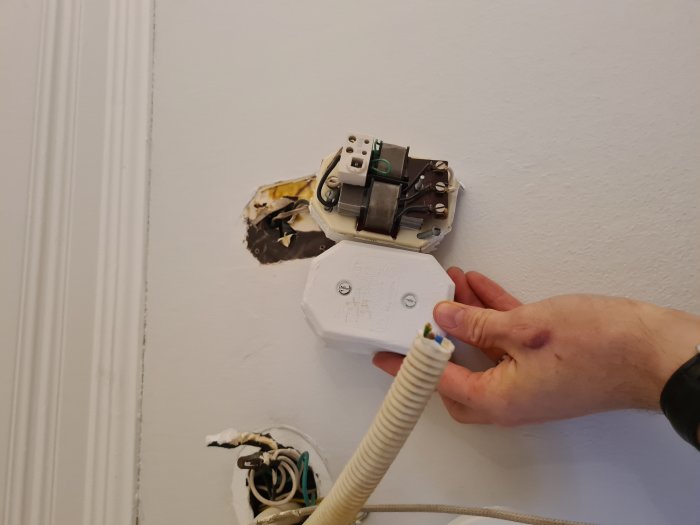 Hand som håller en gammal elektrisk dosa med synliga kablar i en vägg under renovering.