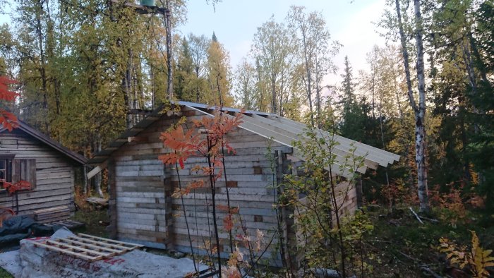 Halvfärdigt hustak med nockplåt i skogsmiljö, gavlar färdigställda, med björkar och vattentorn i bakgrunden.