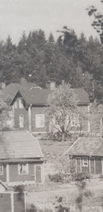 Svartvit bild på ett gammalt rött torp omgivet av träd och skjul, tidigt 1900-tal.