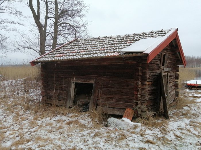 Förfallet timmerhus med snöbelagd tegeltak omgivet av vintergräs och nakna träd.