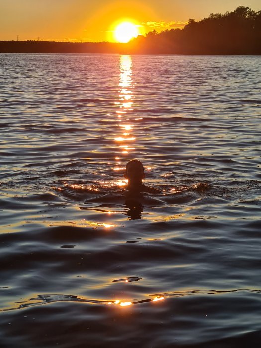 Person simmar i vatten med solnedgång och ljusreflektioner som bildar en "solgata".