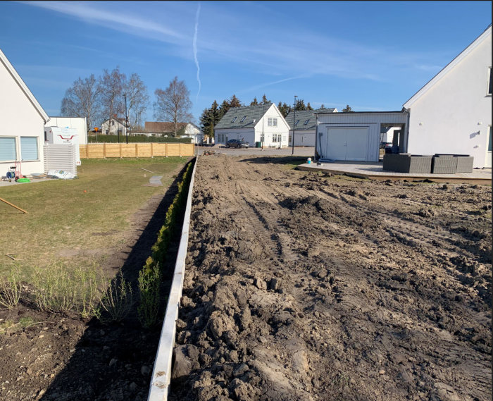 Nyupprättad vit stödmur längs en gräns med en grön tuja-häck, framför en nyligen plöjd och ojämn lerig tomt.