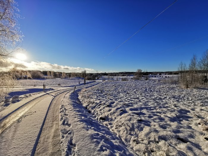 Solig vinterscen med ett snötäckt landskap och en väg som leder bort från betraktaren.