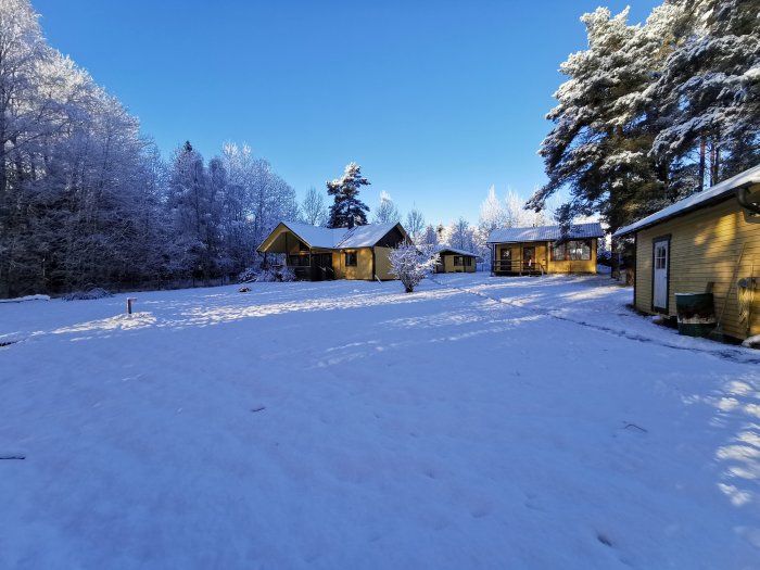 Hus i vinterskrud med snötäckt mark och träd, solig klar himmel.