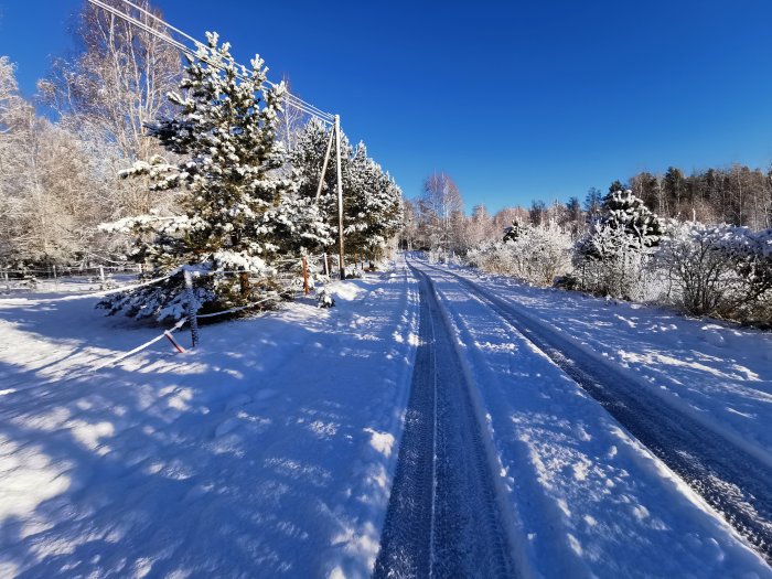 Snötäckt landsväg med spår av bilhjul, omgiven av frodiga träd under en klarblå himmel.