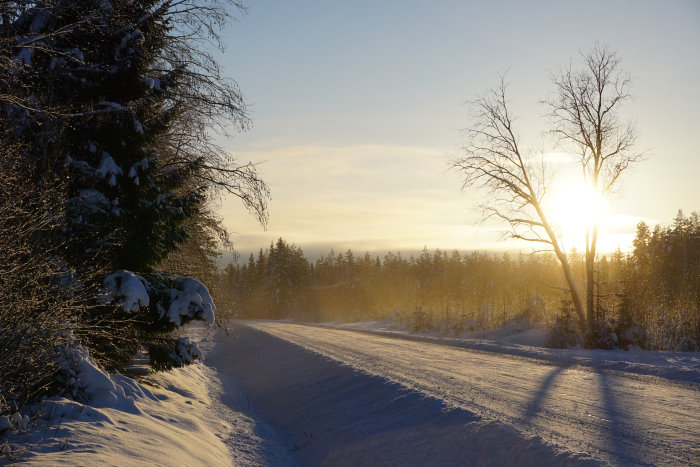 Vinterscen med snötäckt väg och träd i solnedgången.