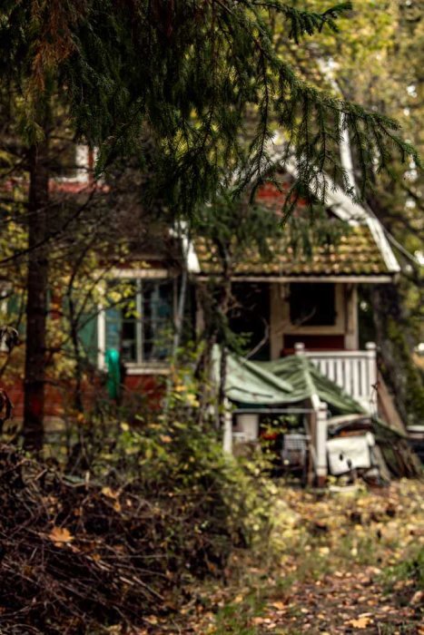 Overgrown yard of a neglected old house partially obscured by trees.