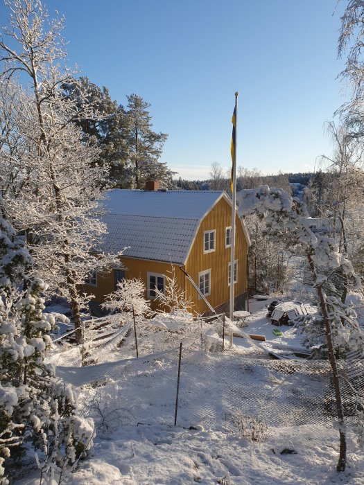 Svenskt traditionellt gult trähus täckt av snö med svensk flagga i vinterlandskap.