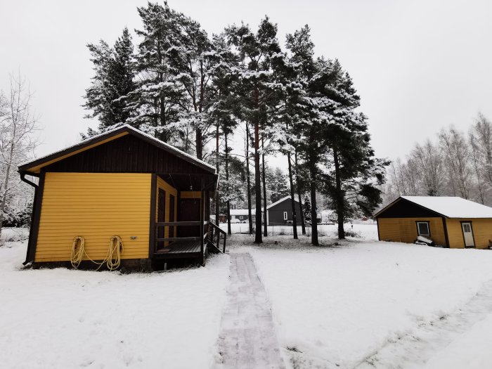 Gul träbyggnad med snötäckt gångväg framför omgiven av tallar på en vintermorgon, som beskriver utrymme efter trädavverkning.