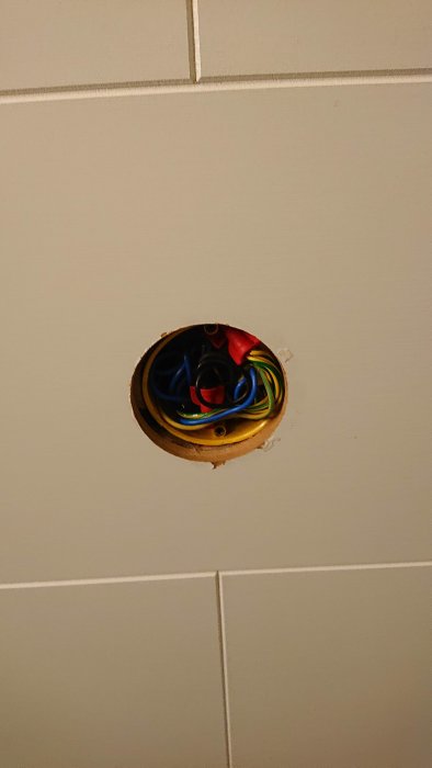 DSC_2526.JPG
