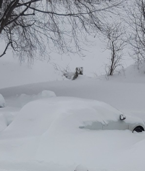 Bilar täckta av tjockt snölager efter kraftigt snöfall.