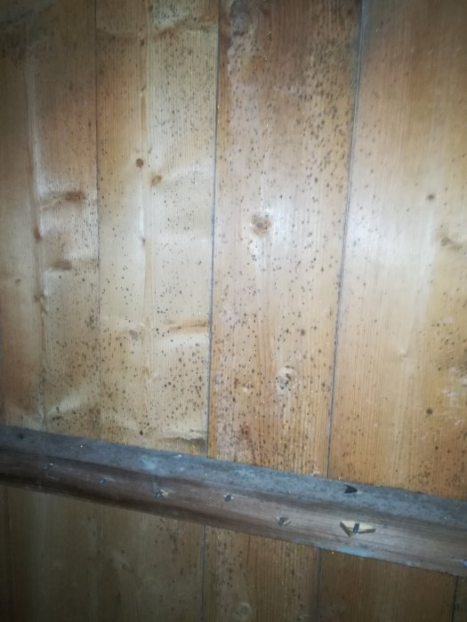 Trävägg med svarta prickar som kan vara mögel eller fuktskador och en träbjälke i förgrunden.