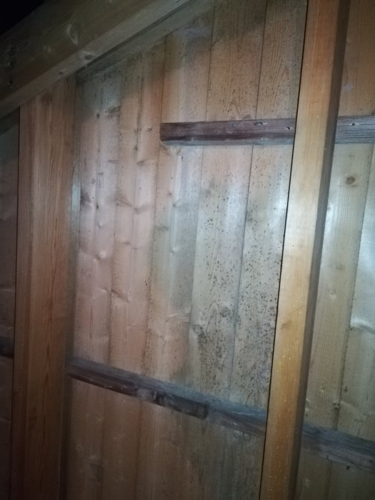 Trävägg med svarta prickar som indikerar mögelpåväxt eller fuktskador.