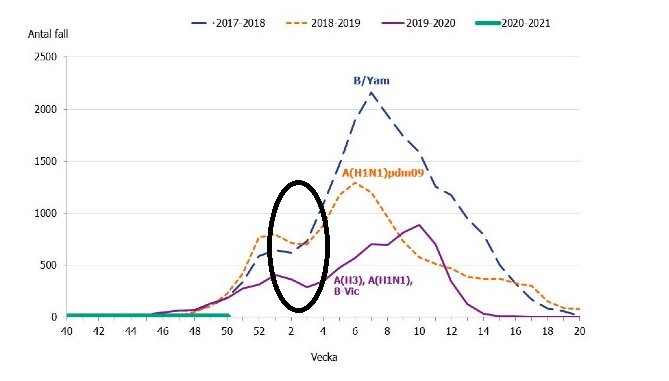 Linjediagram över influensafall per vecka för olika säsonger, med markerad kurva och kommentar om felaktiga data.
