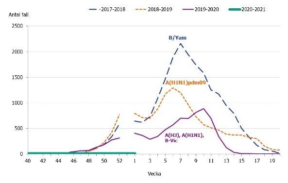 Linjediagram som visar antalet influensafall per vecka för olika säsonger från Folkhälsomyndigheten.