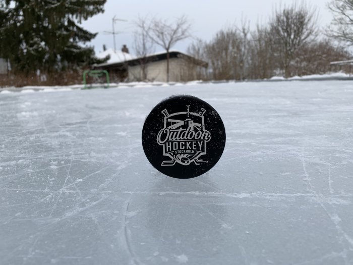 Hockeypuck i förgrunden på en hemgjord isbana i ett bostadsområde med målbur i bakgrunden