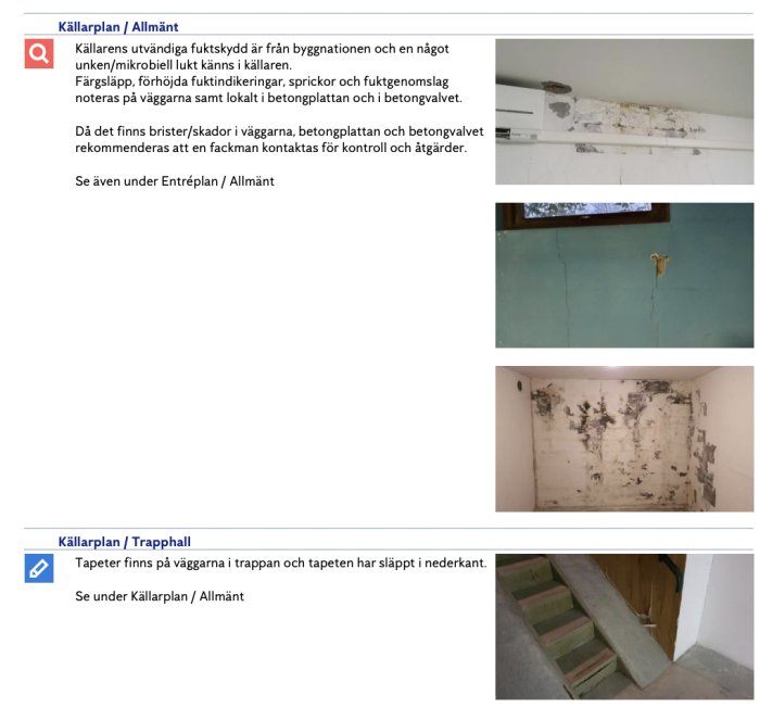 Bilder av en källare med tecken på fuktskador och sprickor på väggarna, lös tapet och synligt mögel.