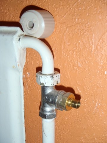 PA130138.jpg