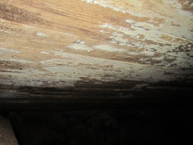 IMG_0051.jpg