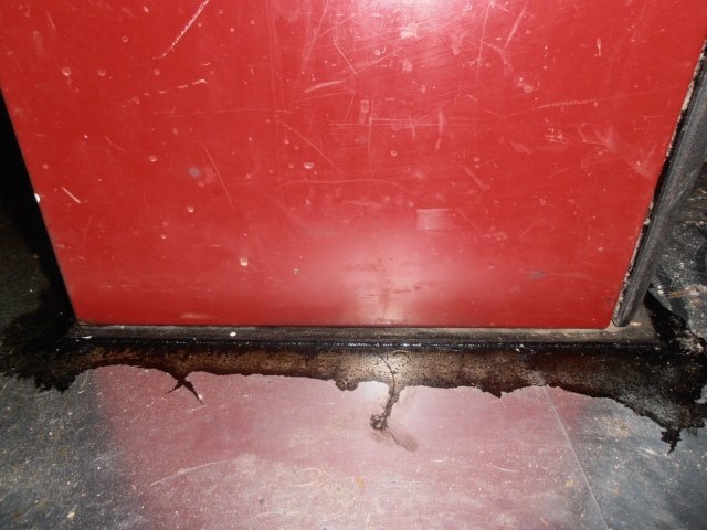 PA230002.jpg