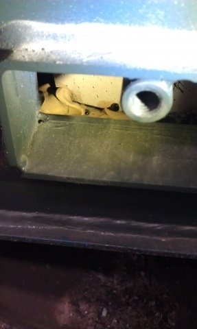 IMAG0571.jpg