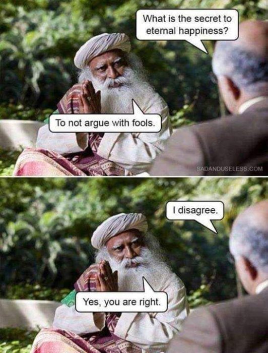 Comic stills of two men talking, one saying the secret to happiness is not arguing with fools, and the other agrees after a disagreement.