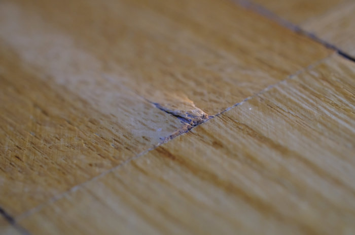 Trägolv med en flisa som sticker upp och synlig metallspik vid sömmen mellan två golvplankor.