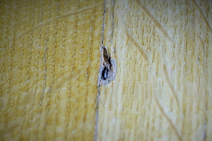 Närbild på ett trägolv där en flisa har lossnat och avslöjar ett metallföremål under ytan.