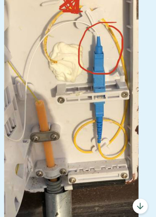 Gult fiberoptickabel markerat med röd cirkel i en väggmonterad nätverksdistributionspanel.